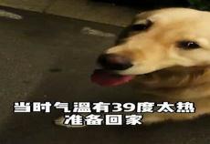 早晨几点遛弯最好