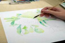零基础画画先学什么